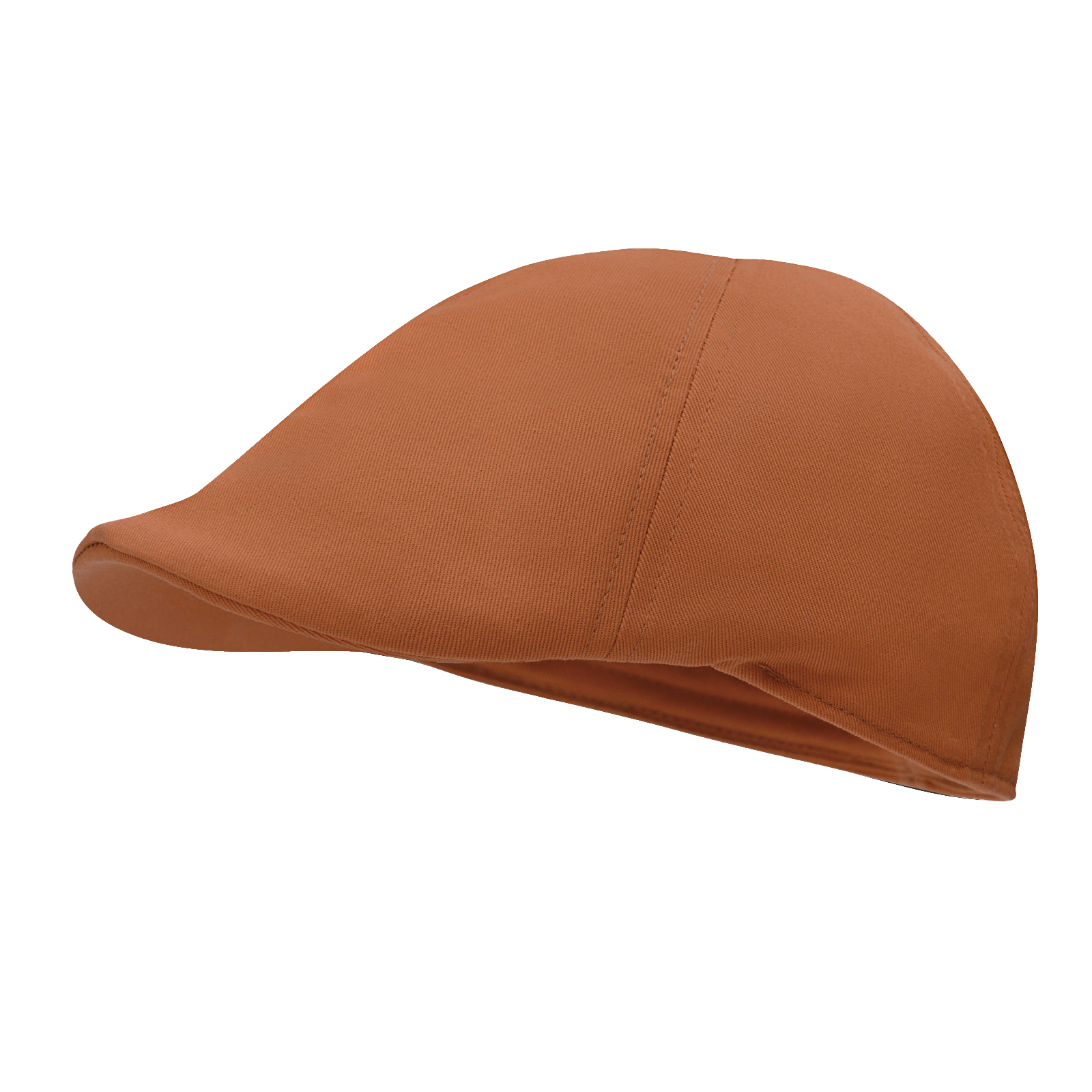 STARANCE Men's Classic Cotton  - Newsboy Cap Ivy 评论和价格