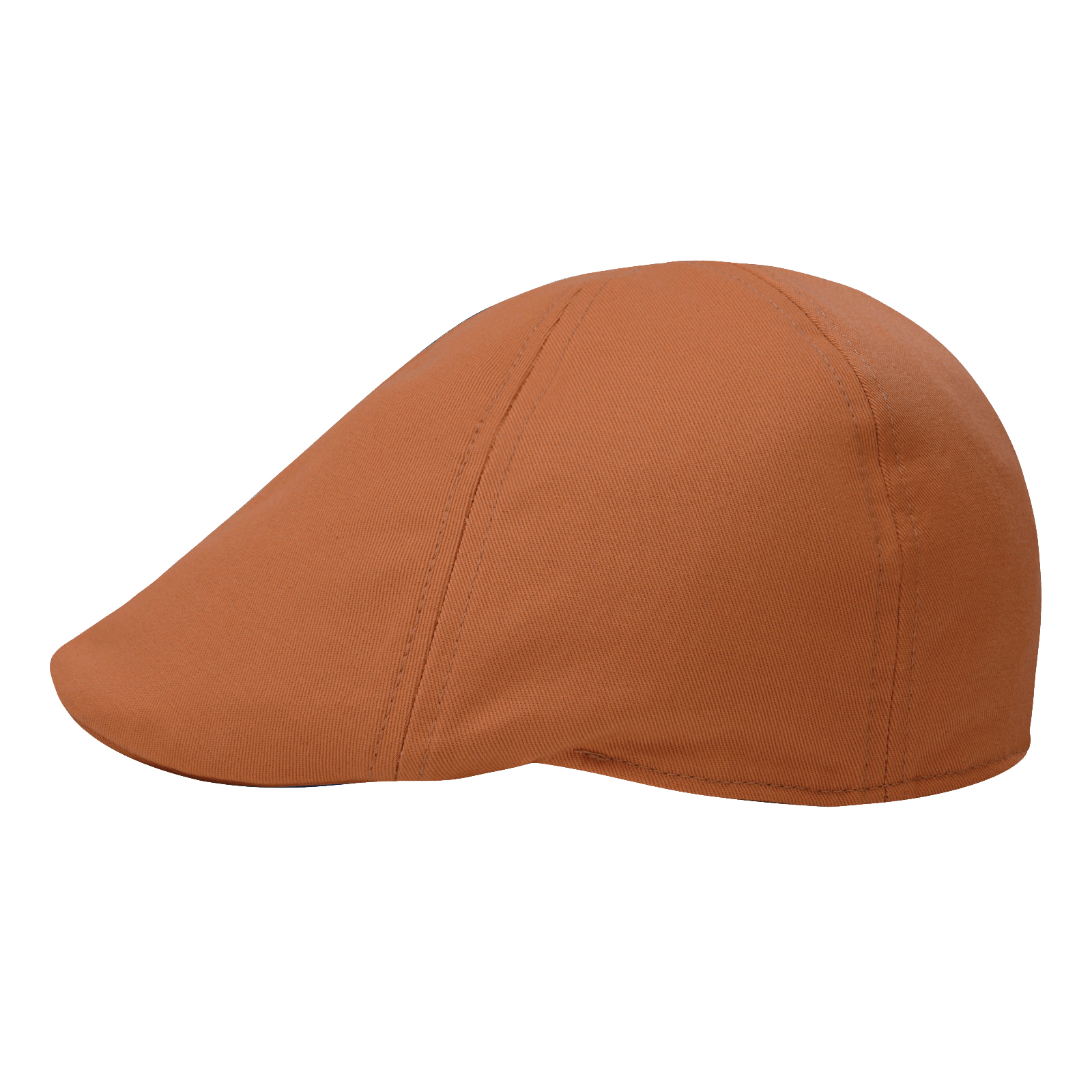 STARANCE Men's Classic Cotton  - Newsboy Cap Ivy 评论和价格