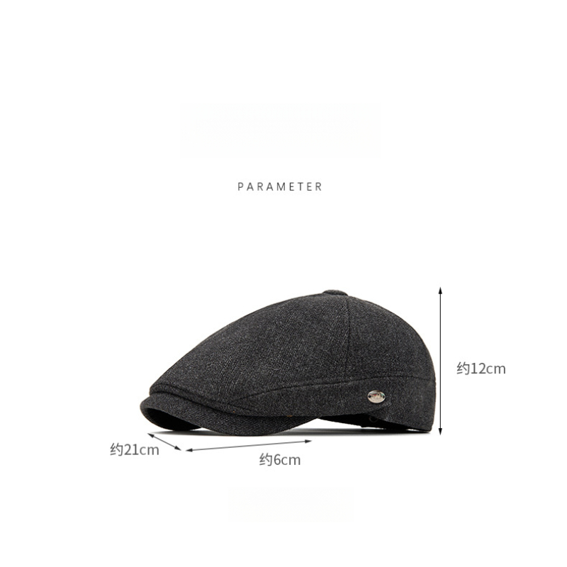 Men's Autumn Winter Wool Blend - Beret French Wool 评论和价格