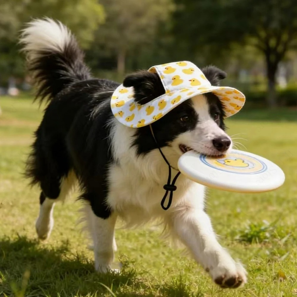 Printed Pet Dog Hat Adjustable - Running Cap Lightweight 评论和价格
